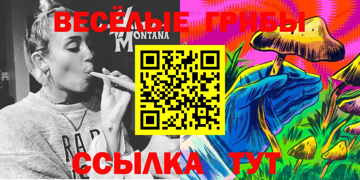 Псилоцибиновые грибы MAGIC MUSHROOMS  Вход с VPN  Новочеркасск 